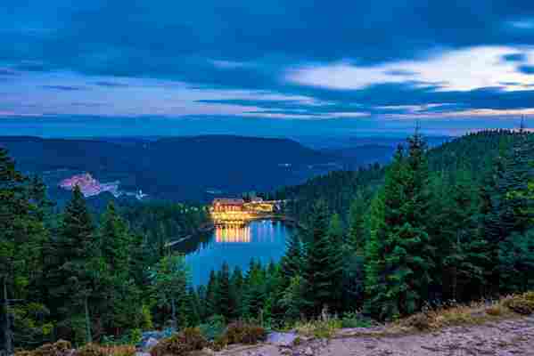 These are the most Instagrammable forests in the world The Black Forest Amazon Rainforest Sherwood Forest Arashiyama Bamboo Forest/Sagano Bamboo Forest Mossy Forest
